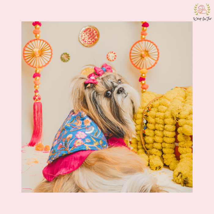Blue Floral Pink Dog Kurta Jacket Set - Premium Indian Dog Ethnic Wear