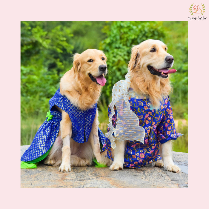 Blue Green Frock Dog Wedding Dress – Princess Bridal Outfit