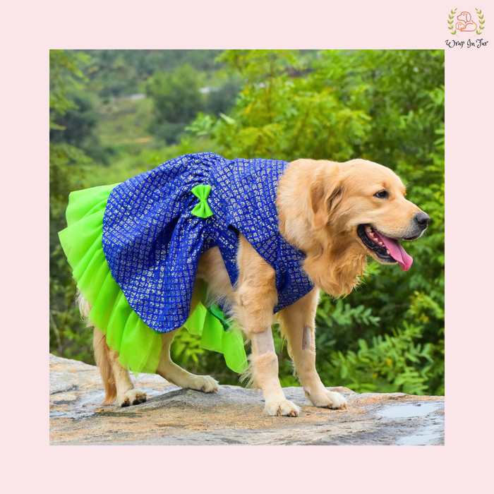 Blue Green Frock Dog Wedding Dress – Princess Bridal Outfit