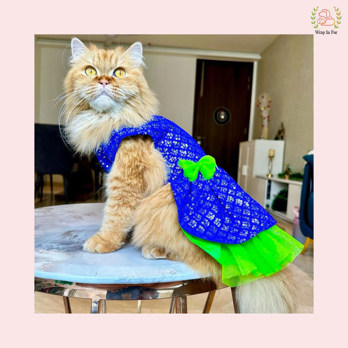 Blue Green Frock Dog Wedding Dress – Princess Bridal Outfit