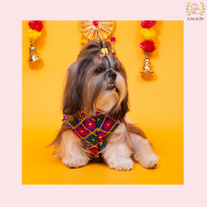 Dog Sherwani