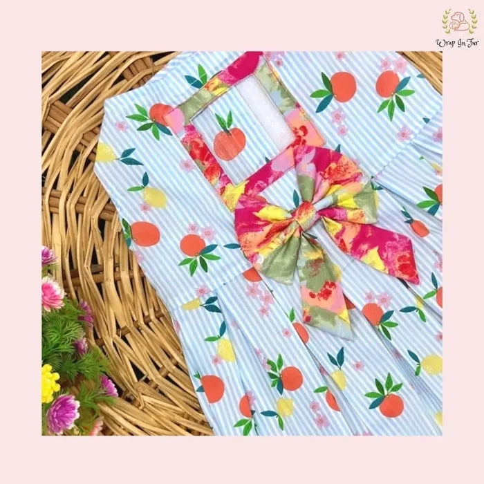 Fruity Print Summer Party Dog Frock
