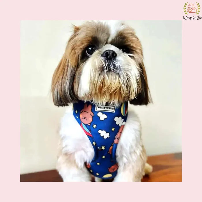 reversible dog harness