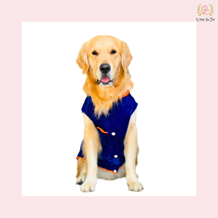 Blue Velvet Maharaja Jacket Dog Sherwani