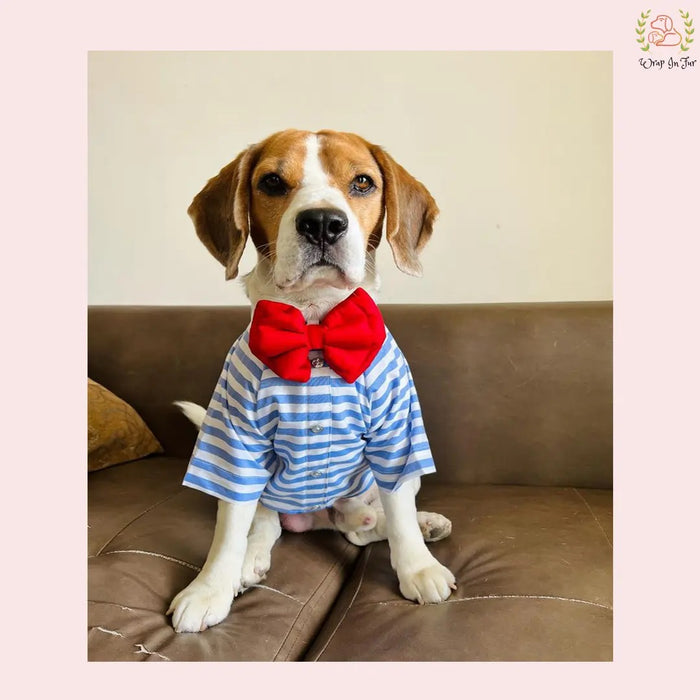 Blue White Dog Shirt