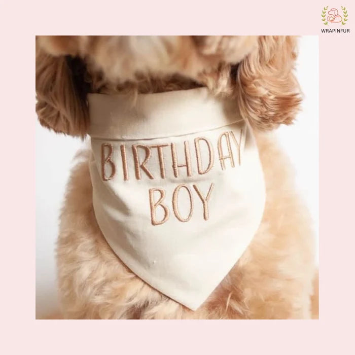Brown Birthday Boy Dog Bandana | Party Bandana for Dogs