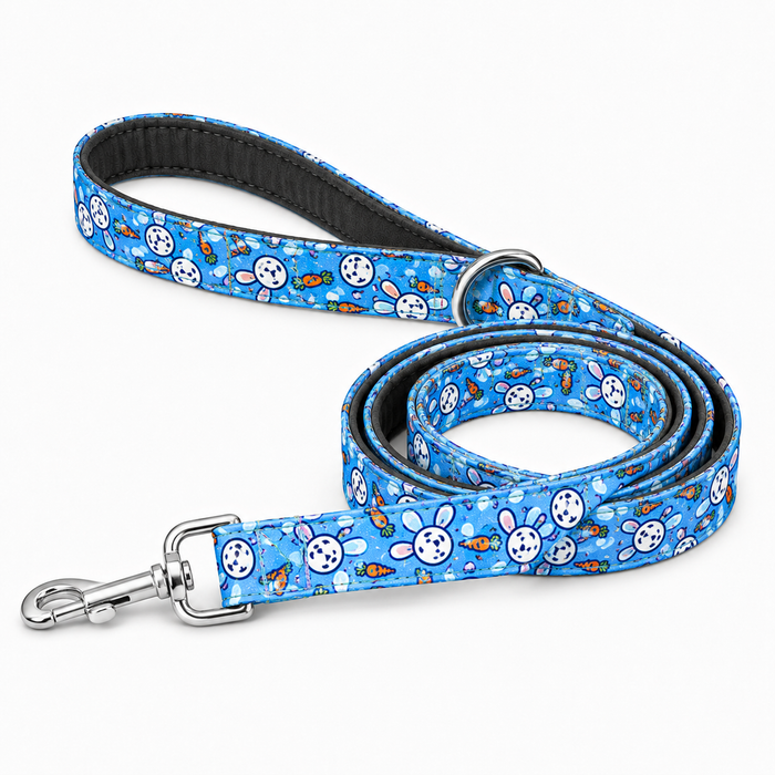 Bunny Carrot Dog Harness With Collar & Leash Set for Dog