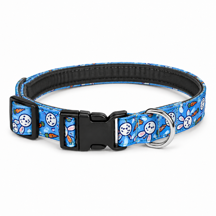 Harness With Collar & Leash Set for Dogs