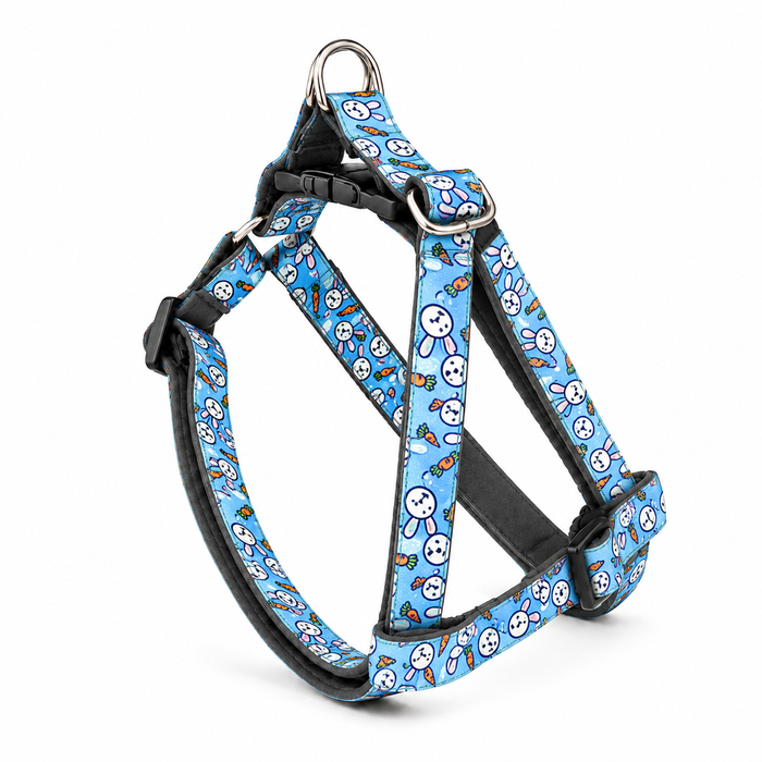 Bunny Carrot Dog Harness