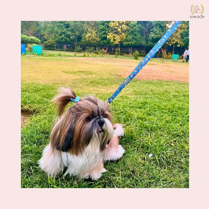bunny dog harness