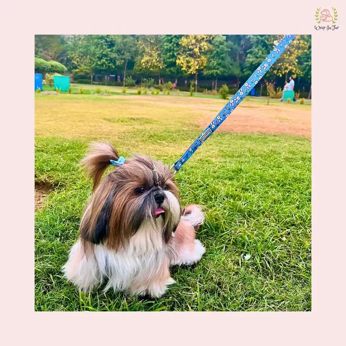 Bunny Carrot Dog Harness with Leash