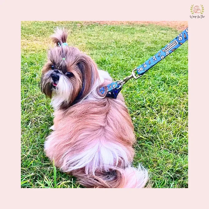 Bunny Carrot Dog Harness with Leash
