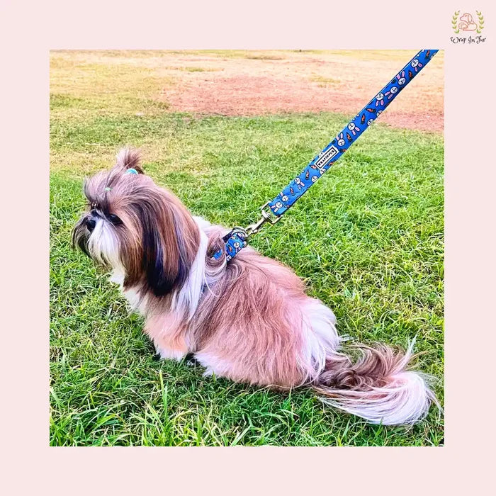 Bunny Carrot Dog Harness with Leash