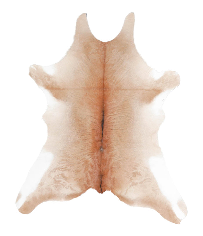 Calfhide #A28420