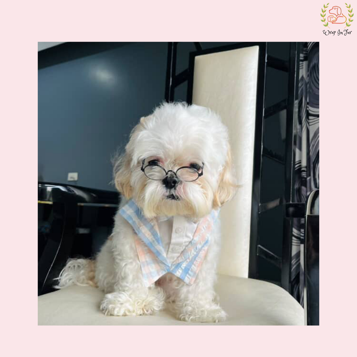 Charming Pink Gingham Tuxedo Style Dog Bandana - Formal Accessory