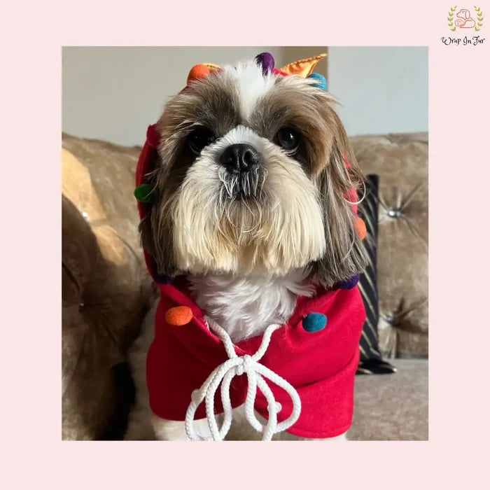 Christmas Pompom Cape for Dogs– Cozy Holiday Cloak