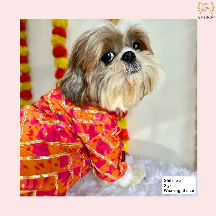 Coral Blush Gota Dog Kurta - Premium Indian Dog Ethnic Wear