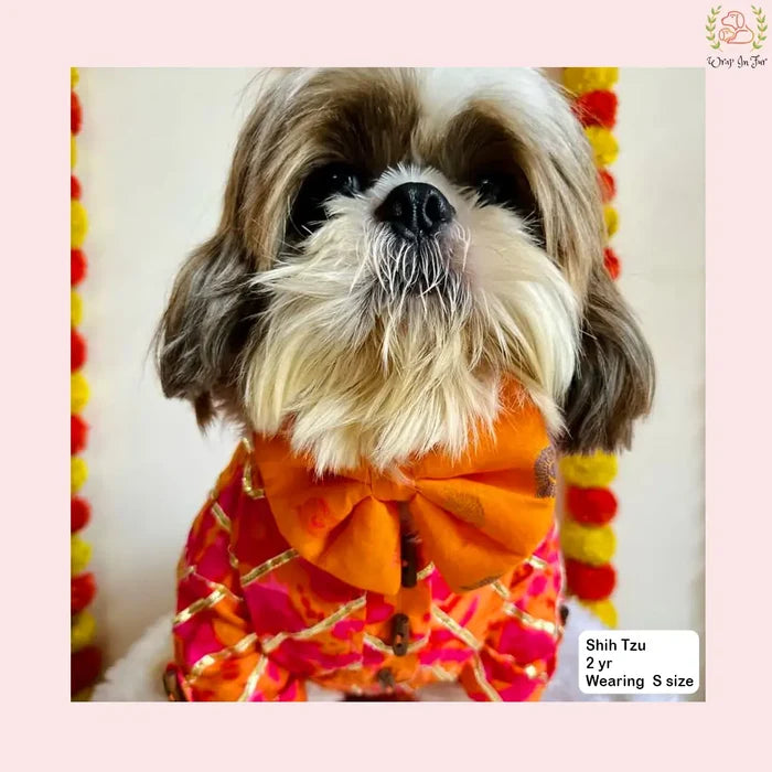 Coral Blush Gota Dog Kurta - Premium Indian Dog Ethnic Wear