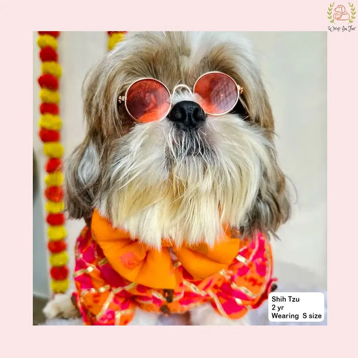 Coral Blush Gota Dog Kurta - Premium Indian Dog Ethnic Wear