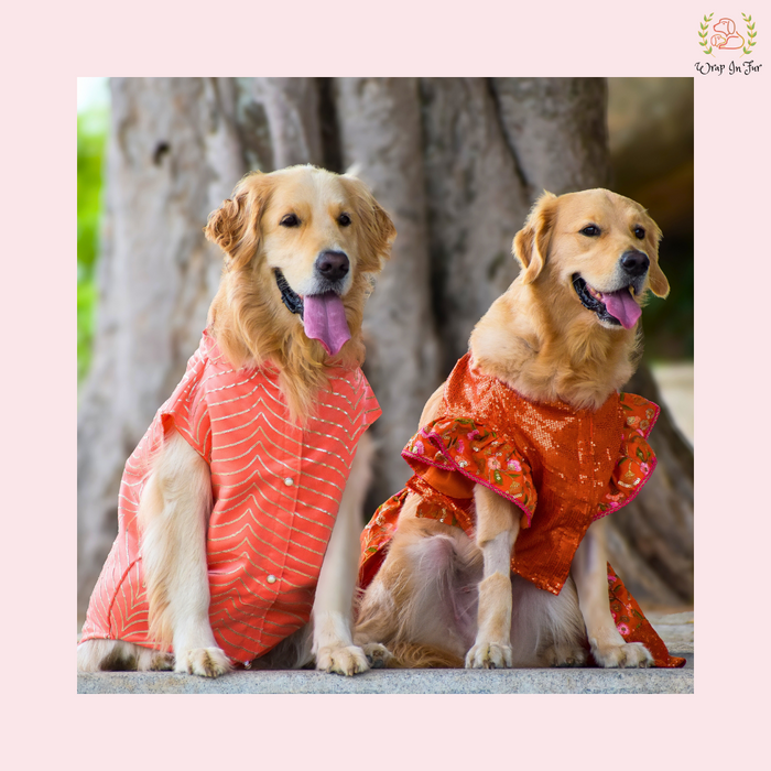 Buy Coral Golden Sherwani