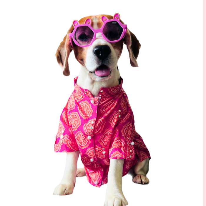 Coral Mirrored Dog Kurta Shirt - Designer Indian Dog Ethnic Wear
