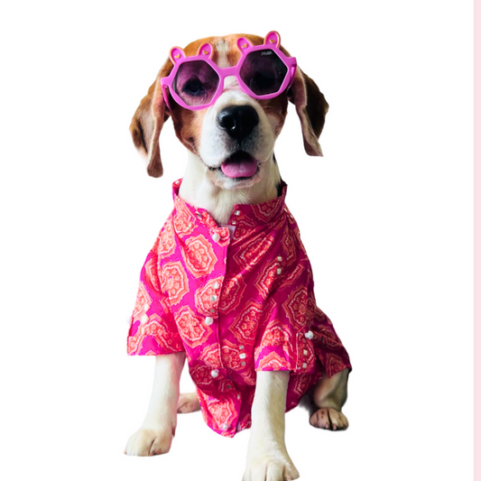 Coral Mirrored Dog Kurta Shirt - Designer Indian Dog Ethnic Wear