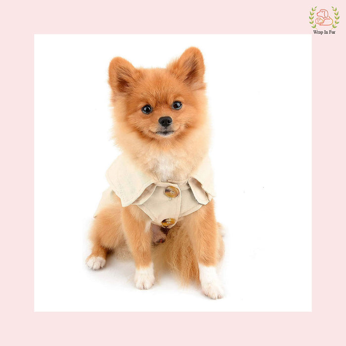 Cozy Cream Coat for Dogs – Winter Essentials