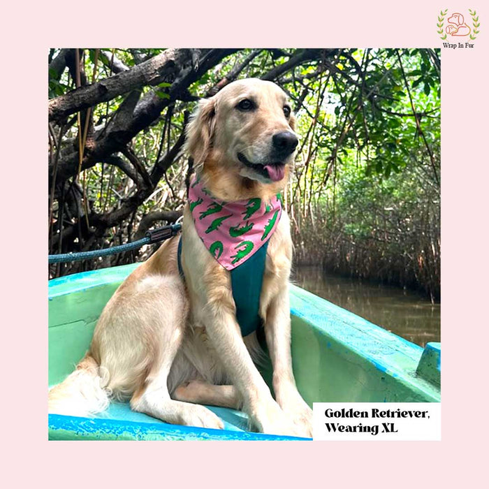 Crocodile Dog Bandana