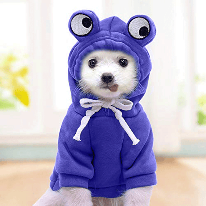 Cute Blue Froggy Dog Hoodie – Warm, Fun & Perfect for Winter