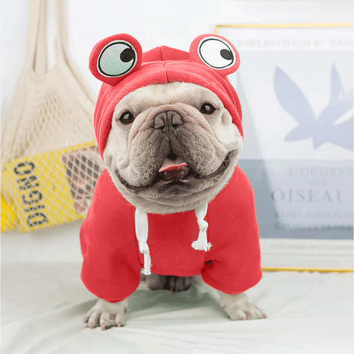 Cute Red Froggy Dog Hoodie – Cozy Winter Wear for Pets