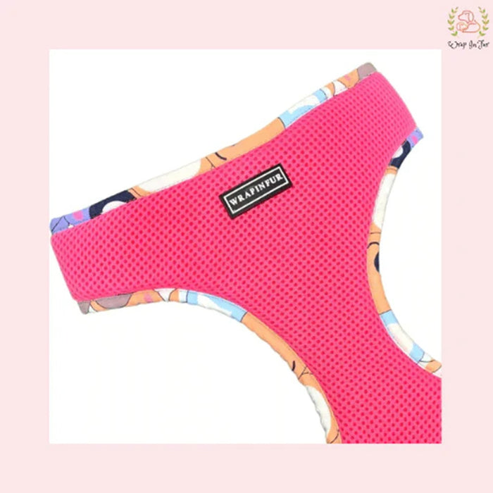 Cute Teddy Reversible Dog Harness