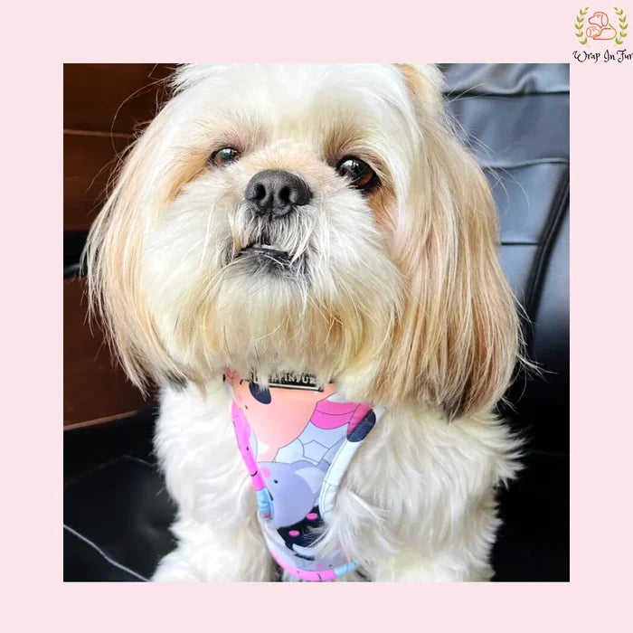 cute dog harness