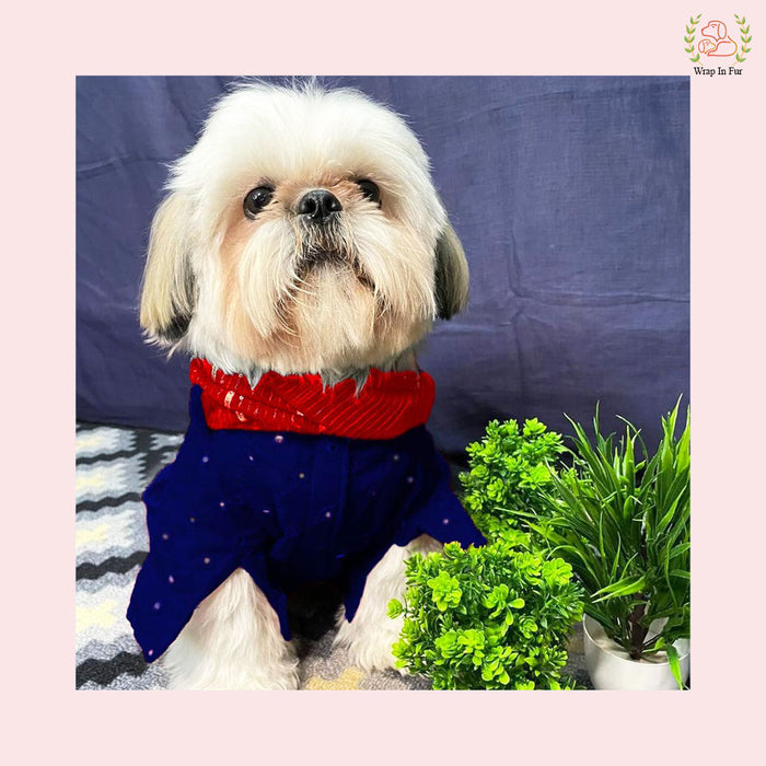 Dark Blue Mirror Work Dog Kurta with Red Dupatta - Indian Ethnic Wear