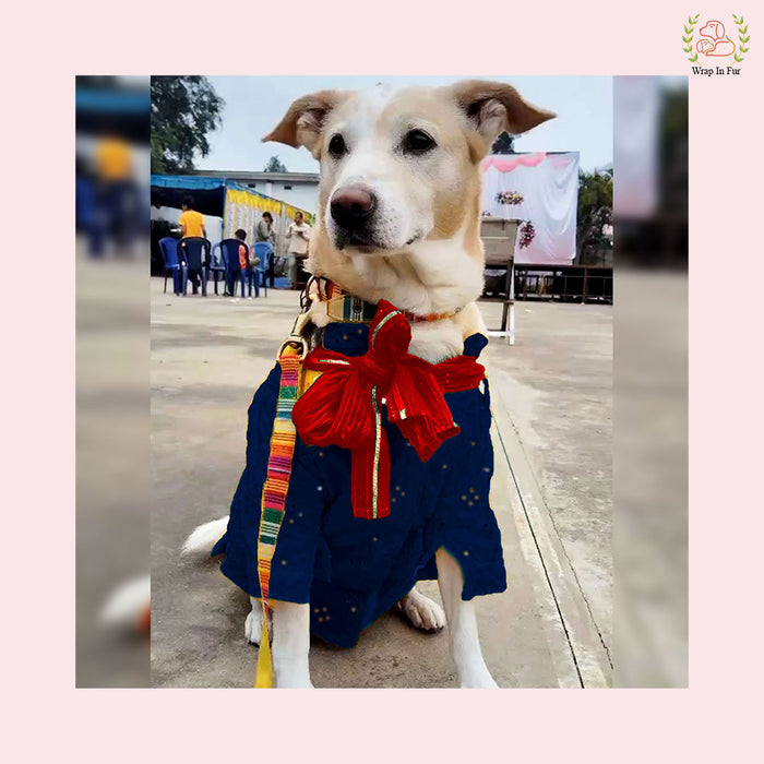 Dark Blue Mirror Work Dog Kurta with Red Dupatta - Indian Ethnic Wear