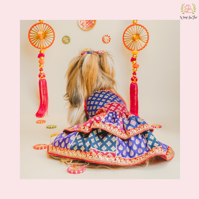 Desi Wedding Dog Dress – Ethnic Dog Bridal Outfit for Functions