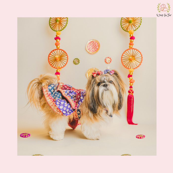 Desi Wedding Dog Dress – Ethnic Dog Bridal Outfit for Functions