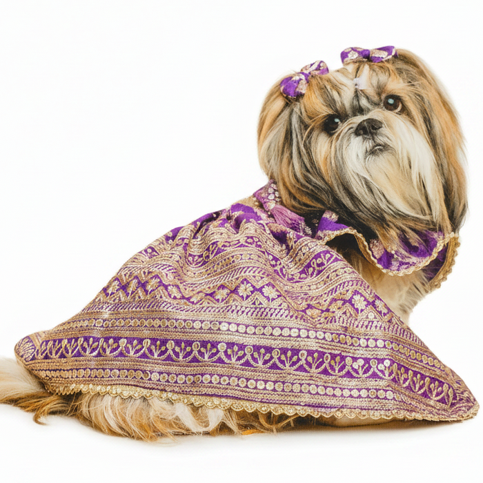 Designer Purple Mastani Dog Lehenga Choli