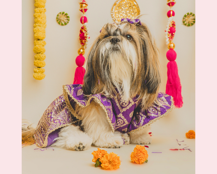 dog lehenga