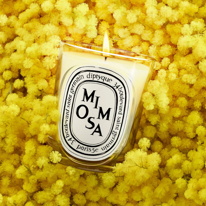 DIPTYQUE | Mimosa Small Candle