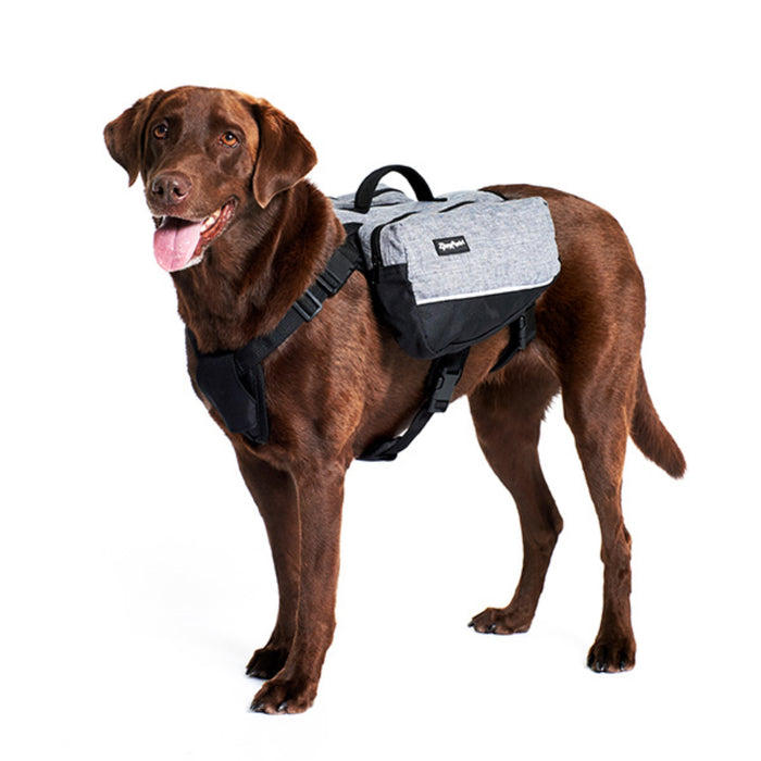 DISC-Adventure Backpack