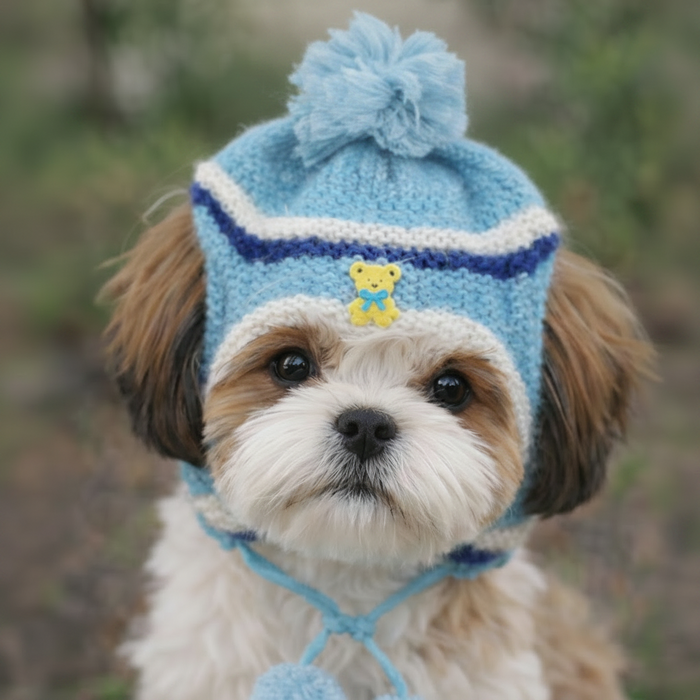 dog cap