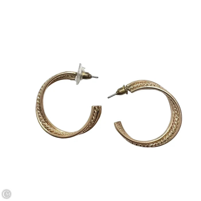 Earrings Hoop