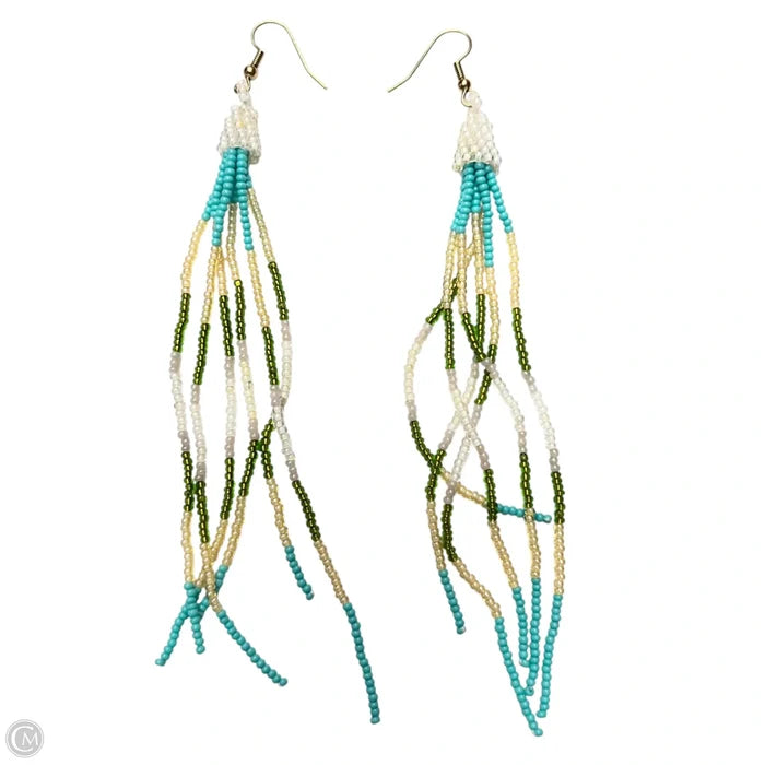 Earrings Other
