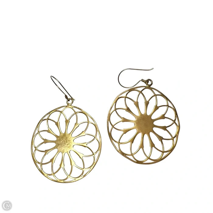 Earrings Other