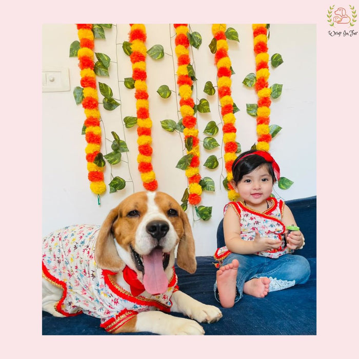 Elephant Print Angarkha Dog Kurta - Traditional Indian Dog Ethnic Wear Dress