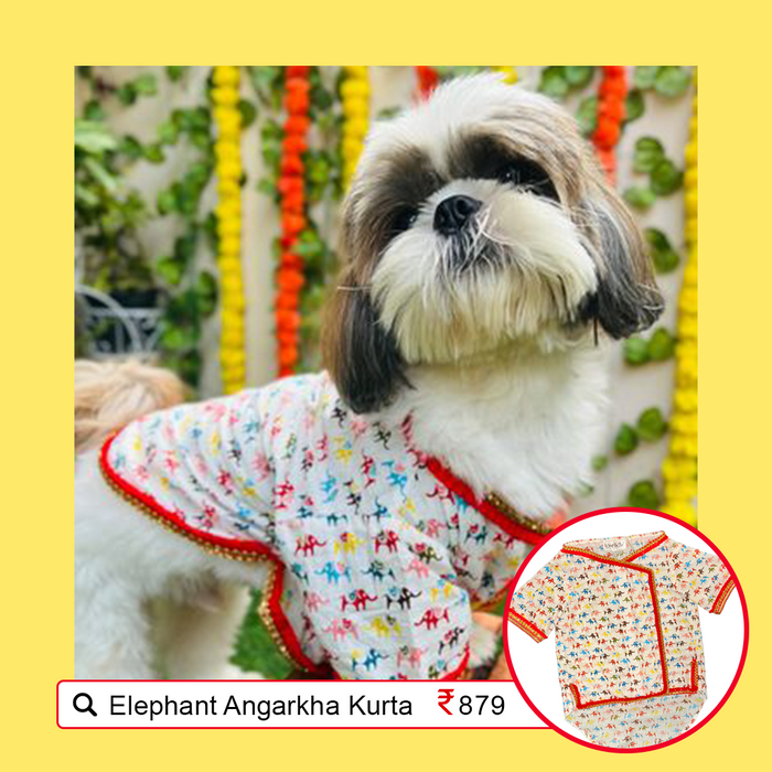 Elephant Print Angarkha Dog Kurta - Traditional Indian Dog Ethnic Wear Dress