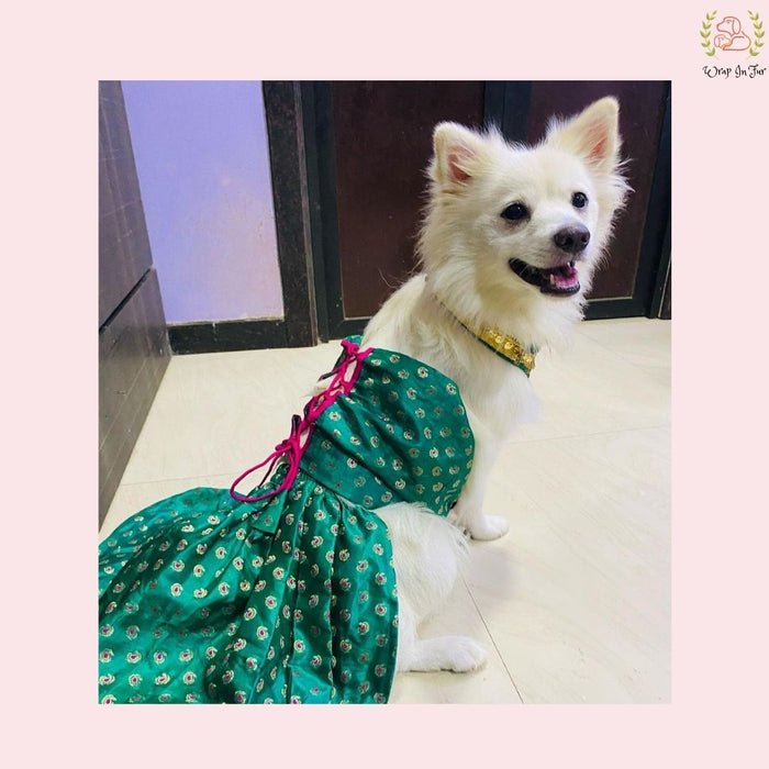 Emerald Green Dog Lehenga Choli – Premium Pet Wedding Dress