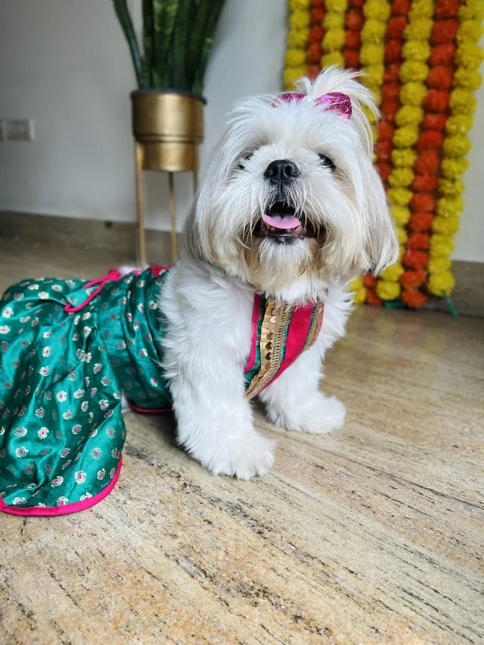 Emerald Green Dog Lehenga Choli – Premium Pet Wedding Dress