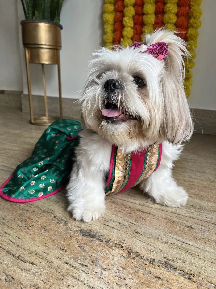 Emerald Green Dog Lehenga Choli – Premium Pet Wedding Dress