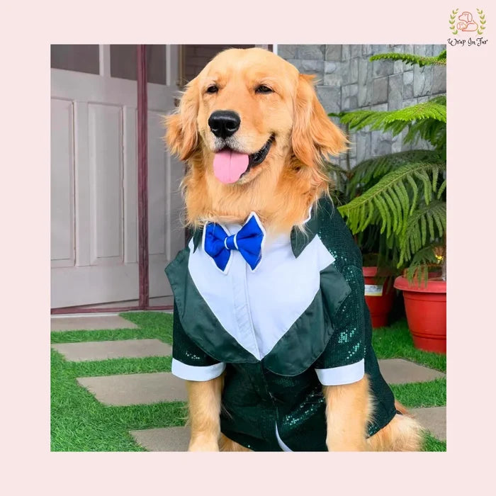 Emerald Green Sequin Dog Tuxedo Jacket - Festive Formal Suit